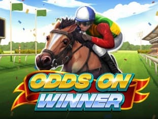 Odds On Winner game screenshot